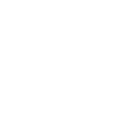 white-cash-icon