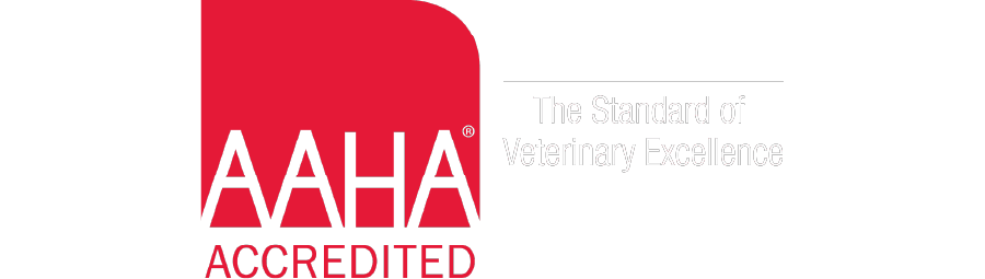 AAHA Accredited logo with red block and white tagline reading “The Standard of Veterinary Excellence” on a black background.