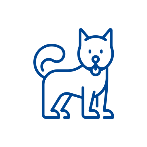 puppies kitten icon
