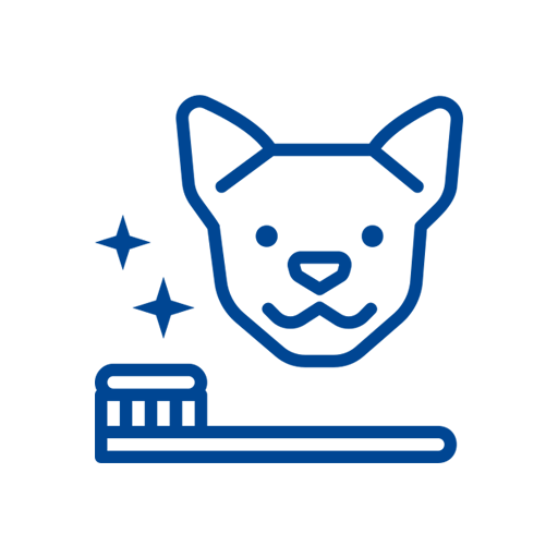 pet with tooth brush icon